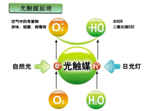 大亚湾专业光触媒治理 群众口碑好