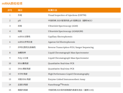 聚焦RNA技术:mRNA、circRNA与saRNA全流程服务平台